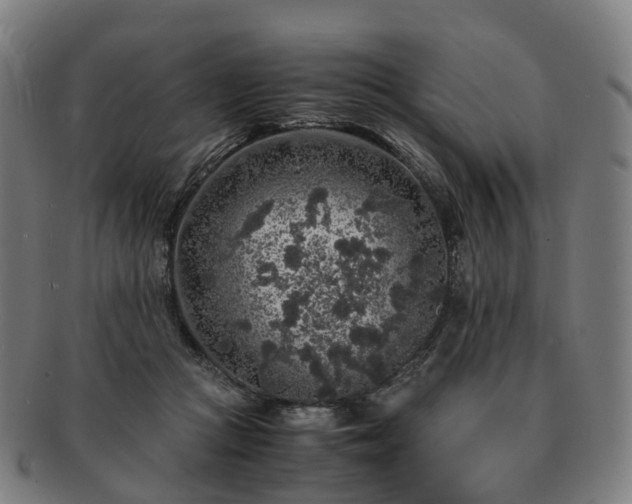 X0000091490361200708231427