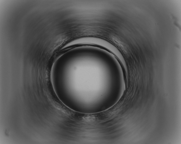 X0000091490362200708231427