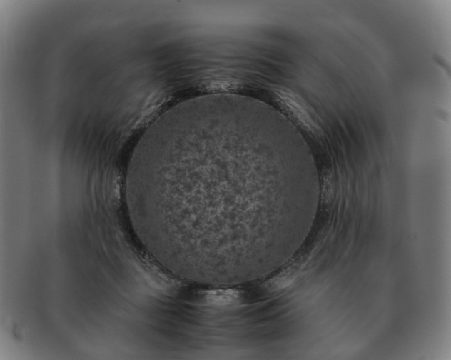 X0000091490363200708231427