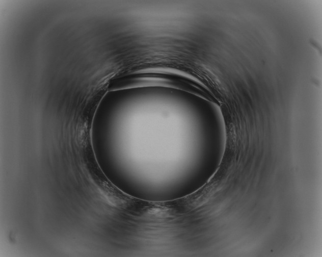 X0000091490364200708231427