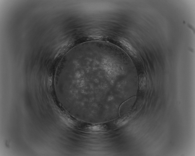 X0000091490365200708231427