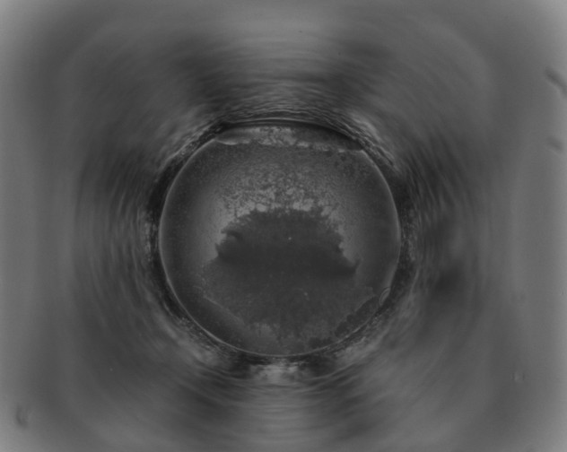 X0000091490366200708231427