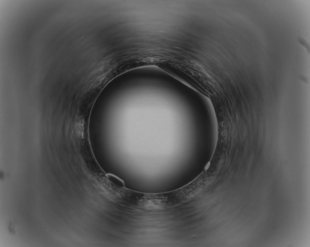 X0000091490368200708231427