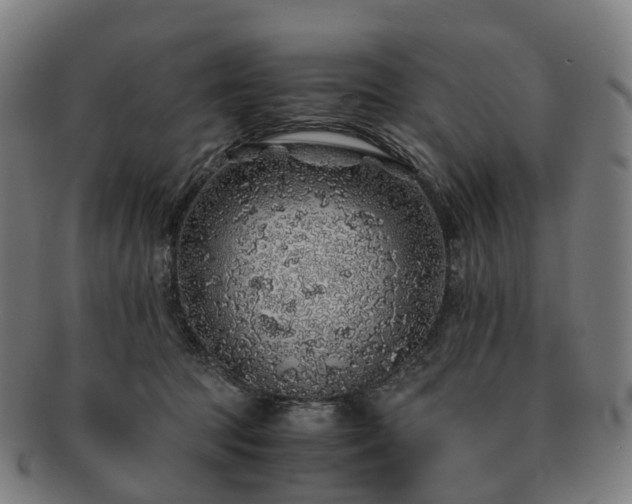 X0000091490369200708231427