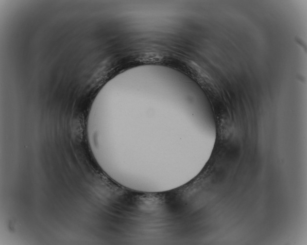 X0000091490370200708231427