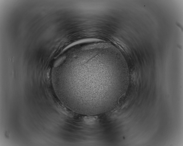 X0000091490373200708231427