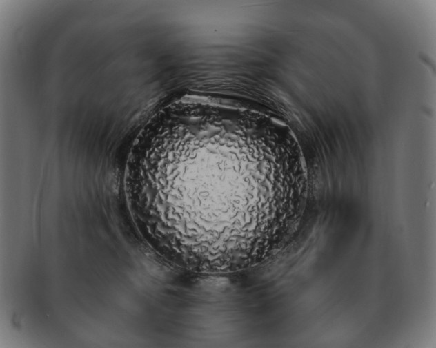 X0000091490374200708231427