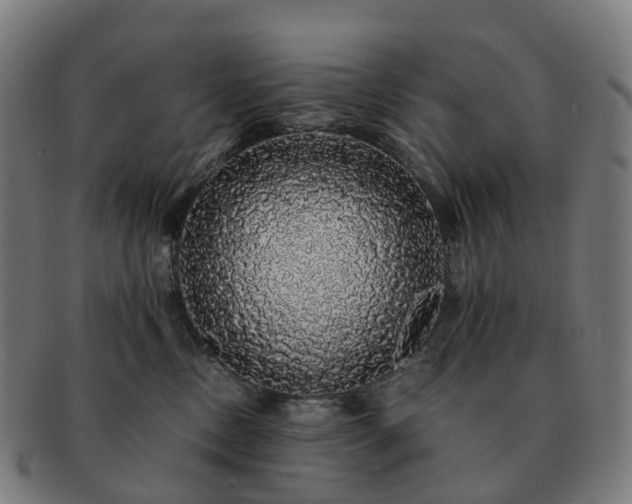 X0000091490378200708231427