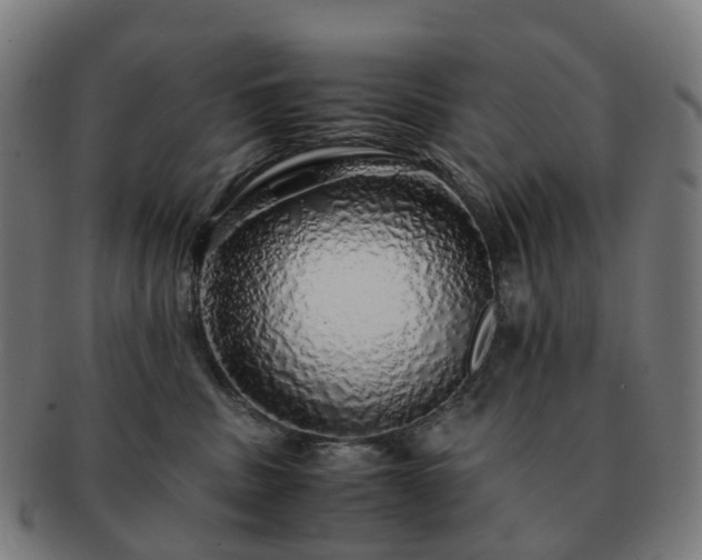 X0000091490379200708231427
