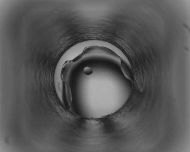 X0000091490380200708231427