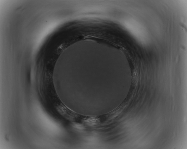 X0000091490383200708231427