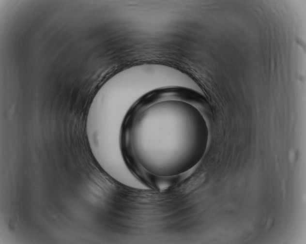 X0000091490384200708231427