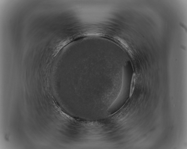 X0000091490385200708231426