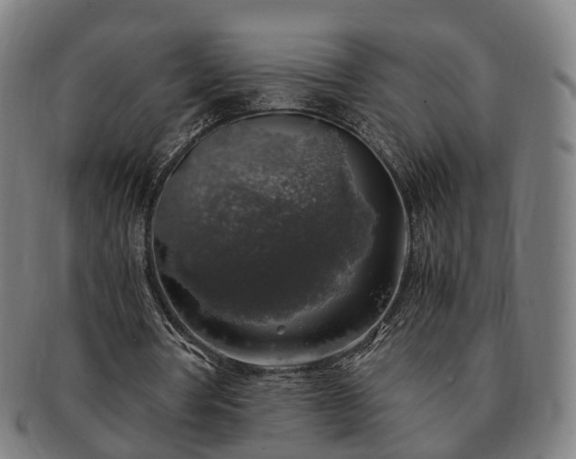 X0000091490386200708231426