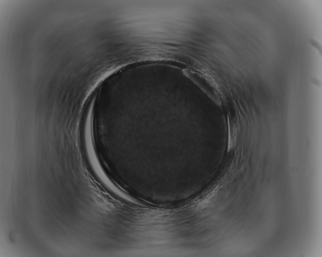X0000091490387200708231426