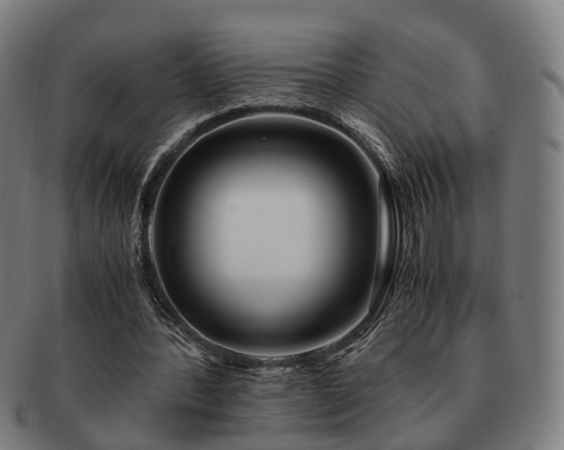 X0000091490388200708231426