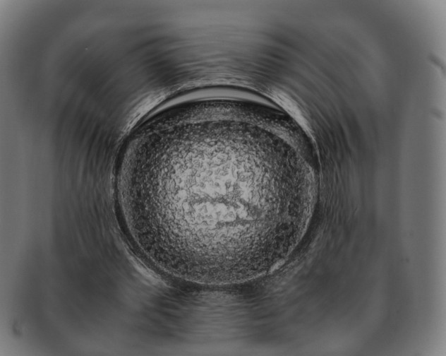 X0000091490389200708231426
