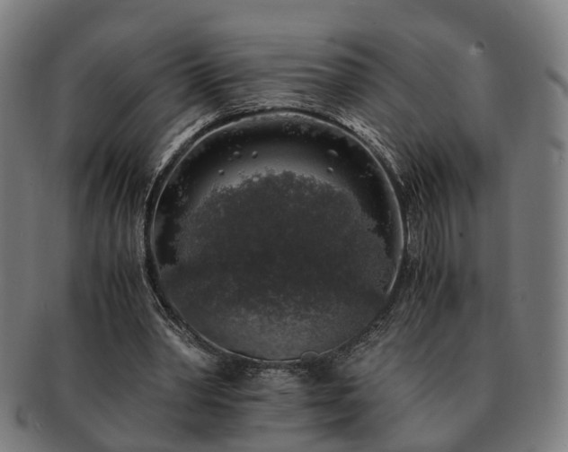 X0000091490390200708231426
