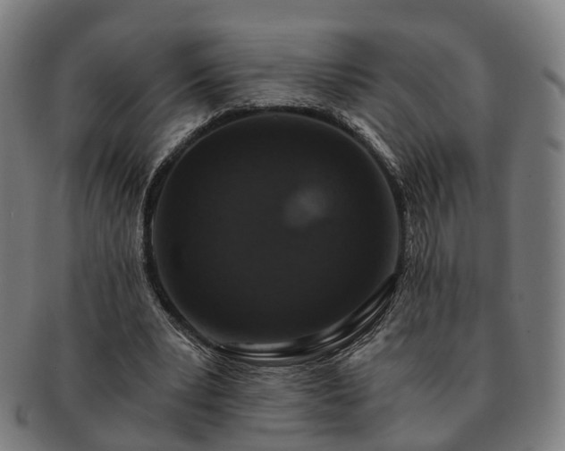 X0000091490391200708231426