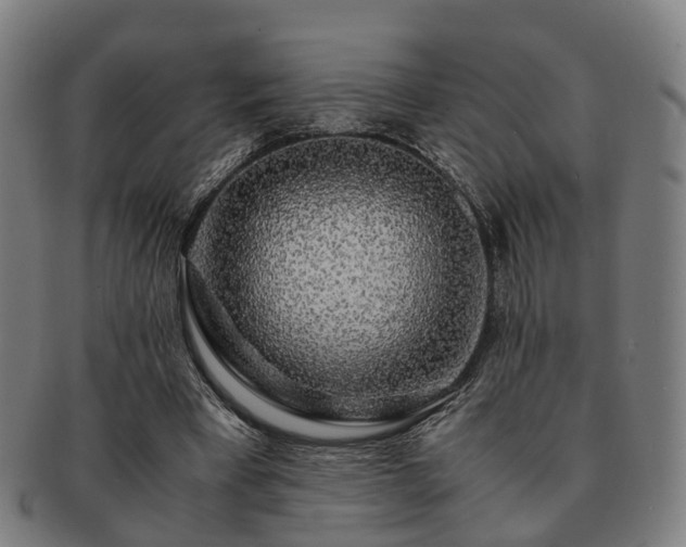 X0000091490393200708231426