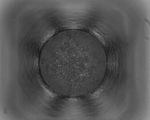 X0000091490394200708231426