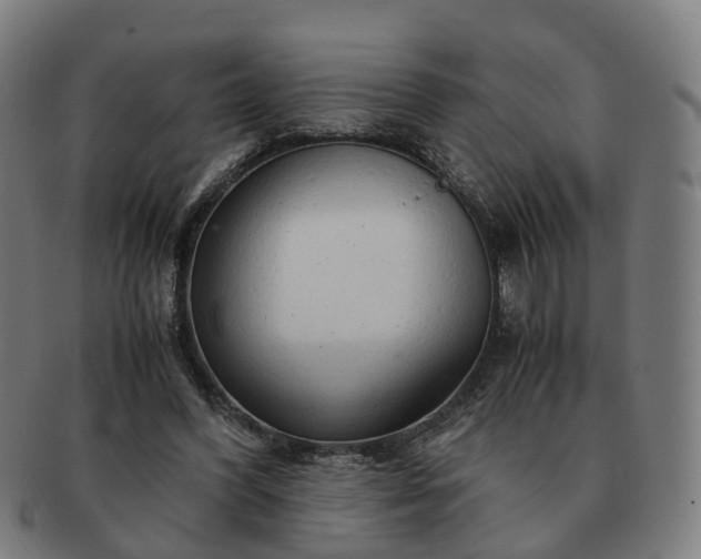 X0000091490396200708231426