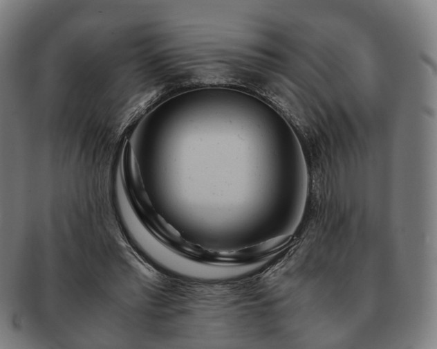 X0000091490397200708231426
