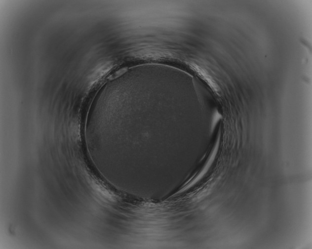 X0000091490399200708231426