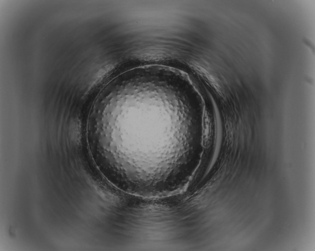 X0000091490400200708231426