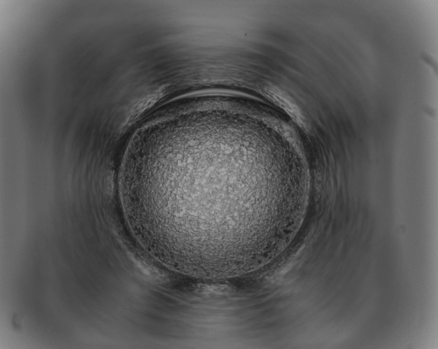 X0000091490401200708231426
