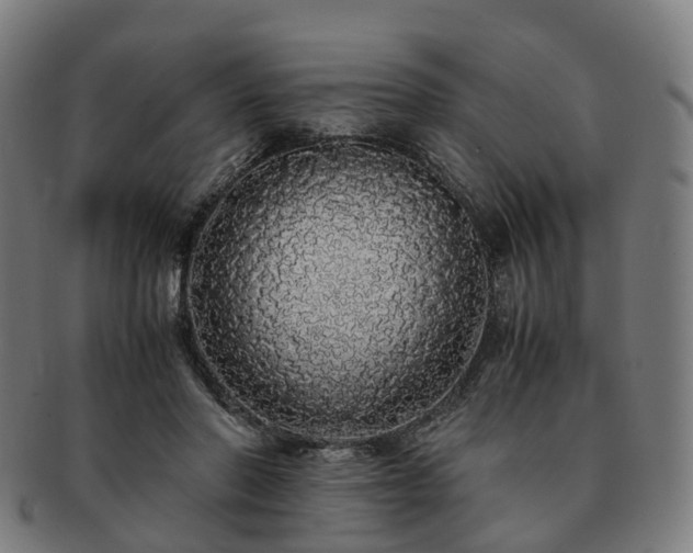 X0000091490406200708231426