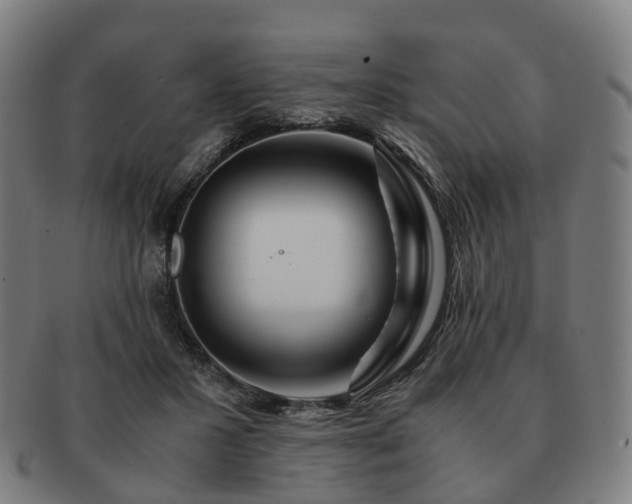 X0000091490407200708231426