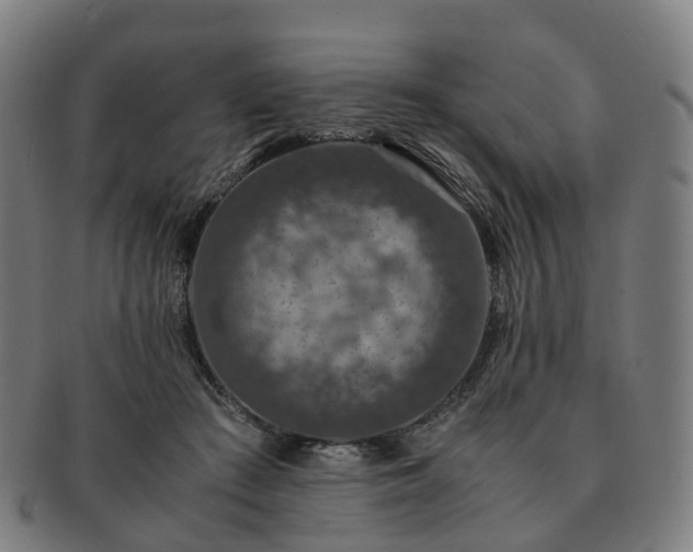 X0000091490409200708231426