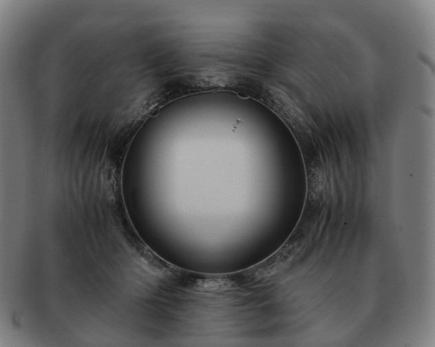 X0000091490414200708231426