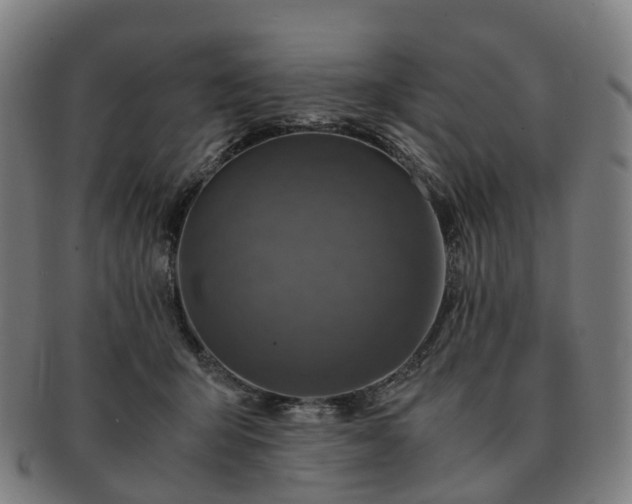 X0000091490415200708231426