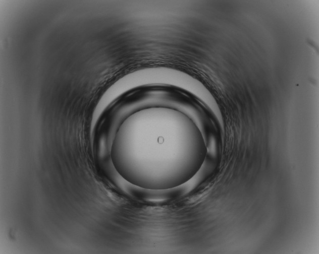 X0000091490416200708231426