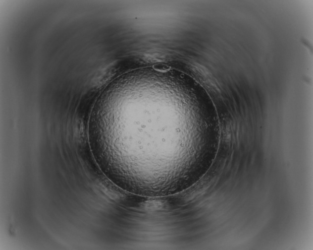 X0000091490418200708231426