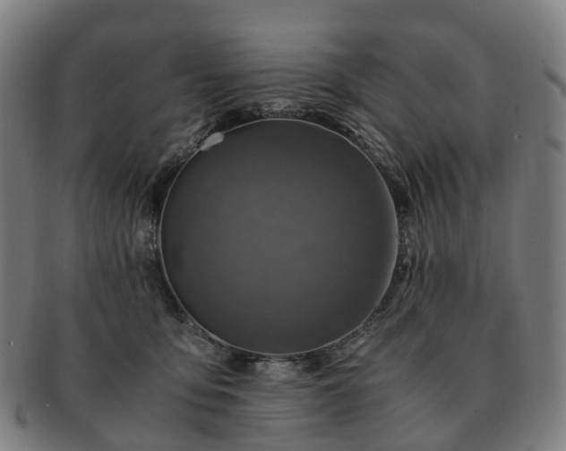 X0000091490419200708231426
