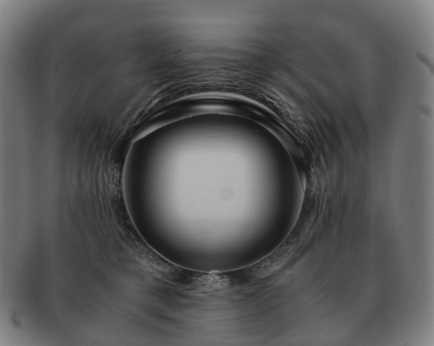 X0000091490421200708231426