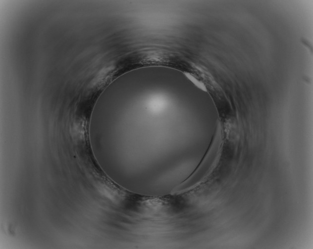 X0000091490423200708231426