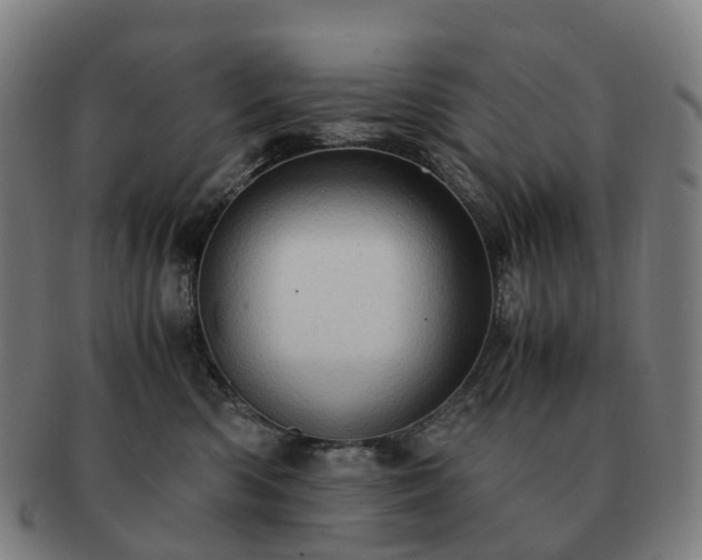 X0000091490426200708231426