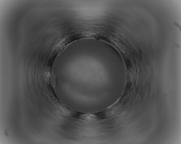 X0000091490427200708231426