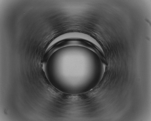 X0000091490428200708231426
