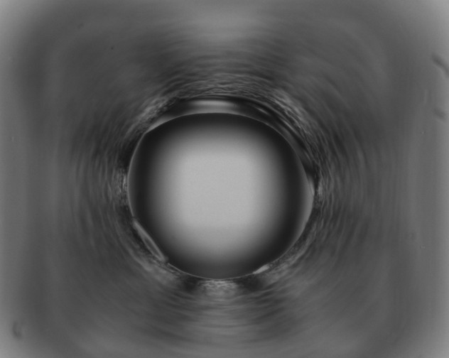 X0000091490429200708231426