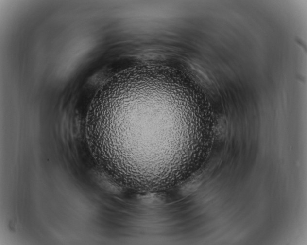 X0000091490430200708231426