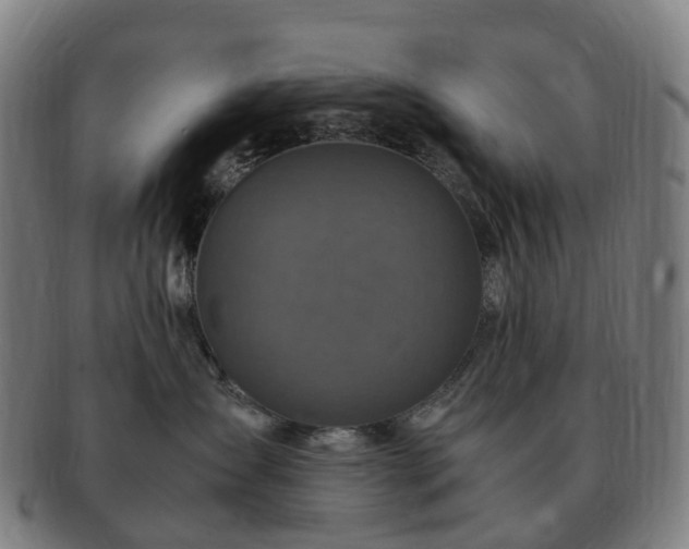 X0000091490431200708231426