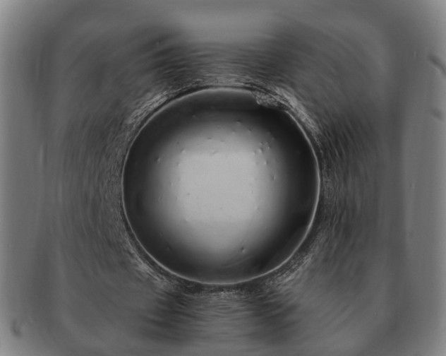 X0000091490433200708231425