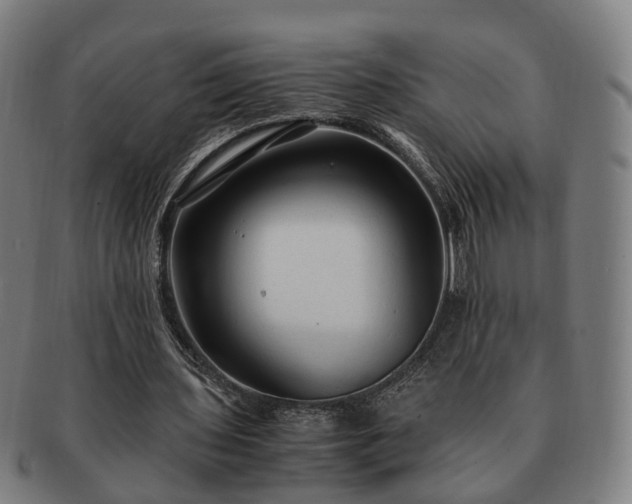 X0000091490435200708231425