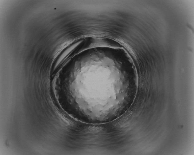 X0000091490437200708231425