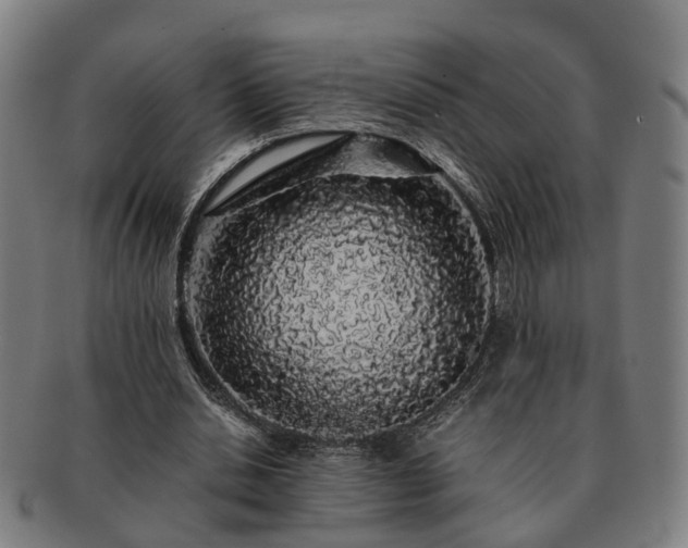 X0000091490438200708231425